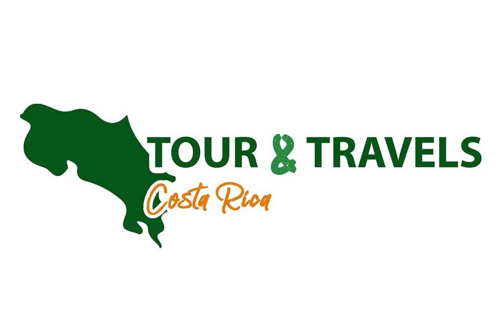 Night Surfing Spectacle