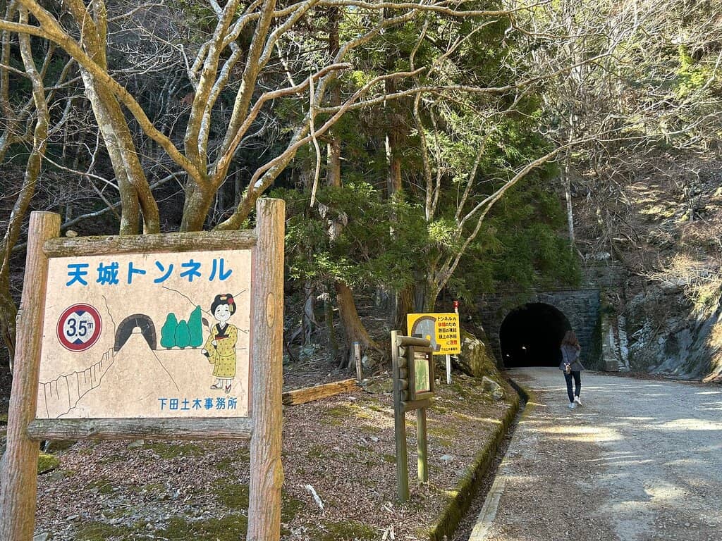 The Journey to the Tunnel