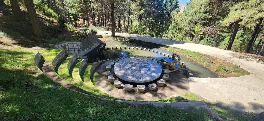Tranquil Pine Forest Trails