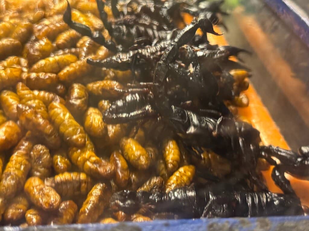 Lively Open-Air Bars