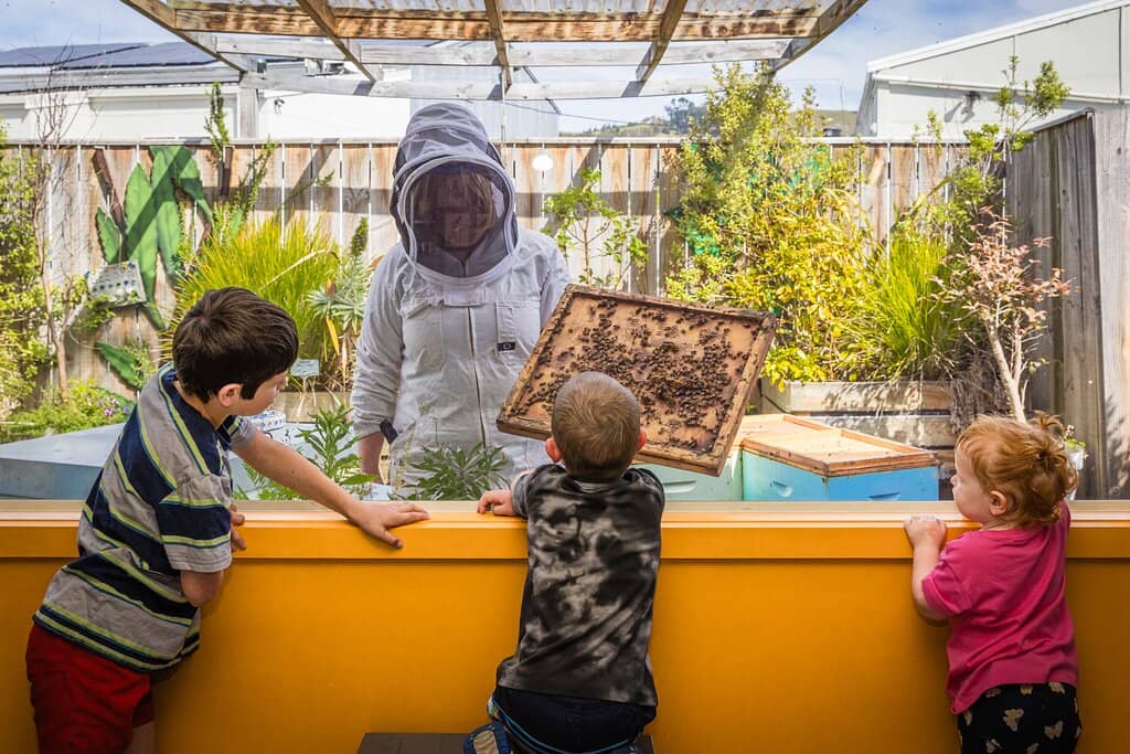 Interactive Bee Exhibits