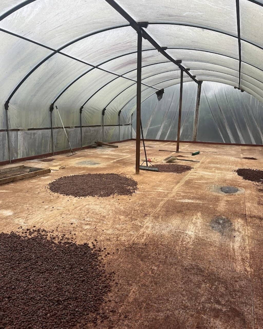 Unique Fruit & Cacao Tasting