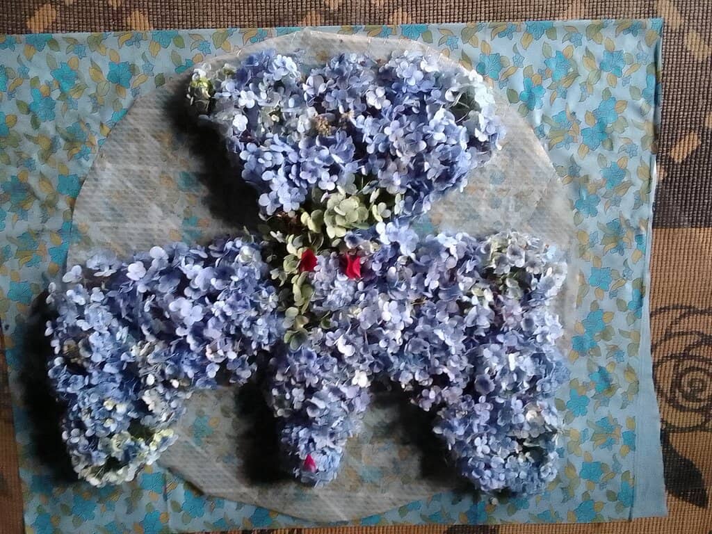 Dairy Farm & Organic Produce