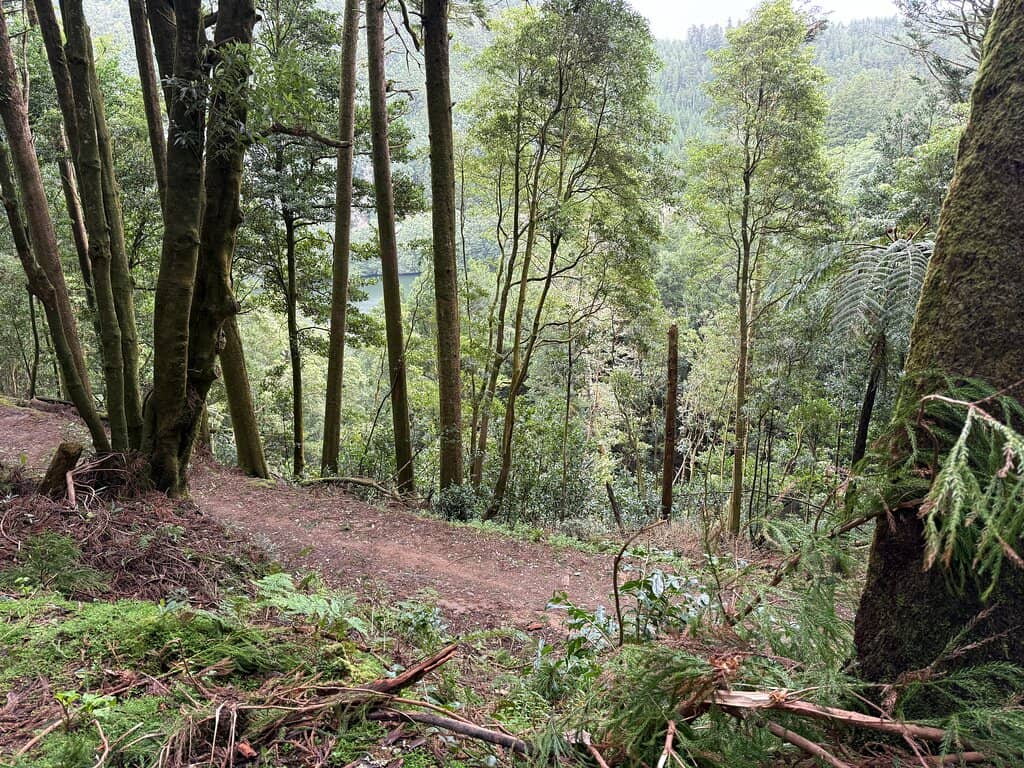 Kid-Friendly Playgrounds