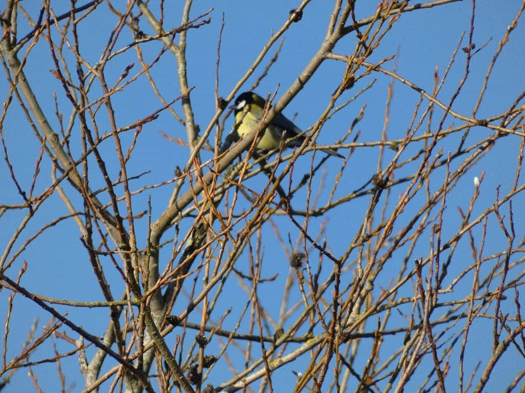 Scenic Reservoir Loop