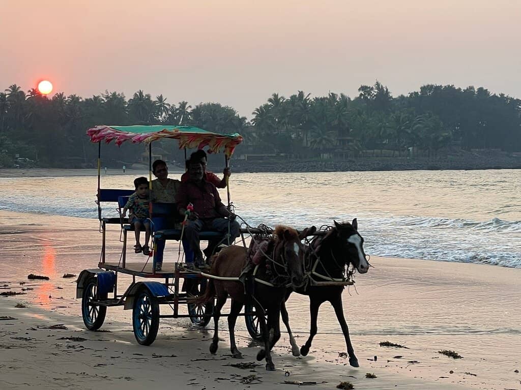 Water Sports Adventures