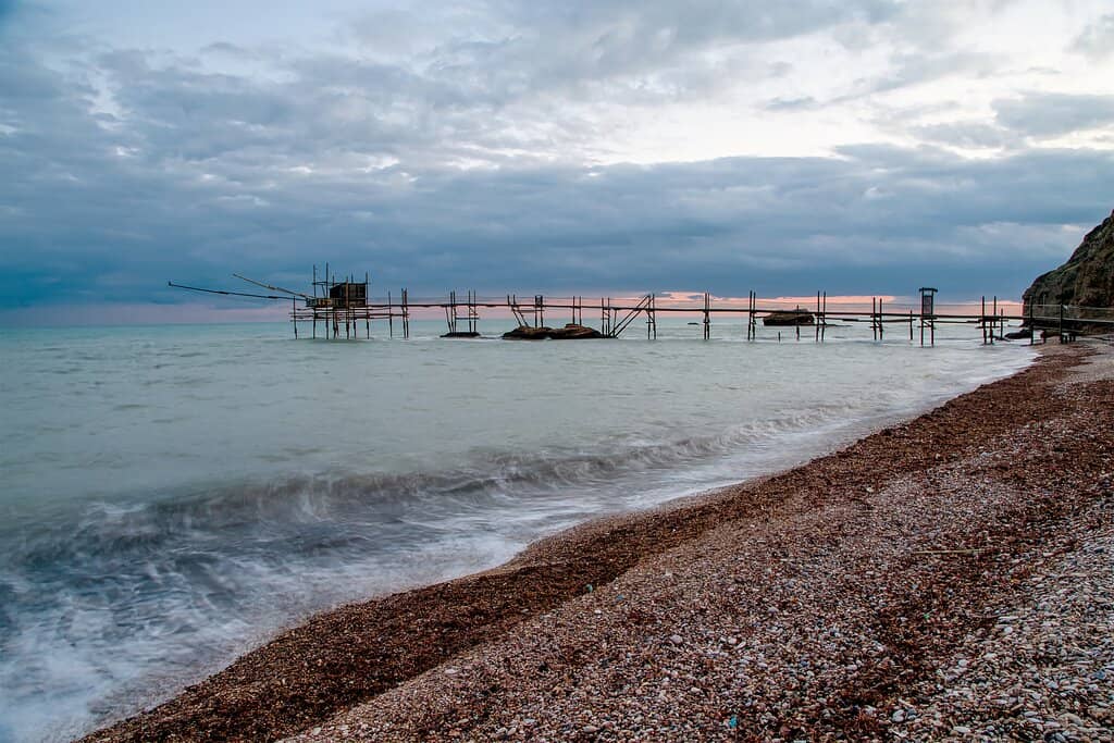 Dog-Friendly Paradise