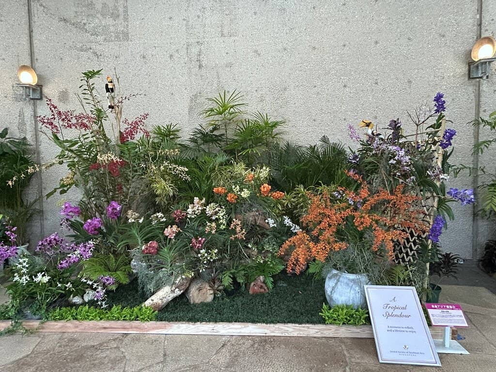 Panoramic Tower View