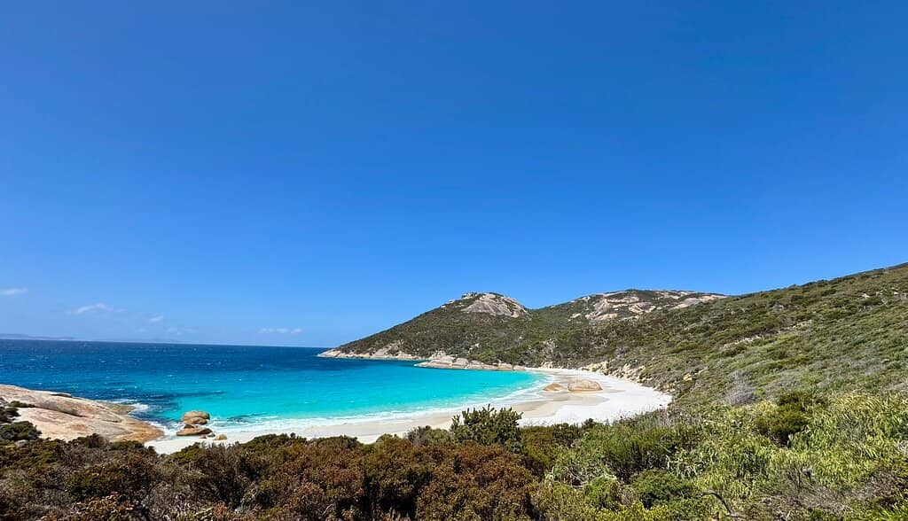 Whale Watching Opportunities