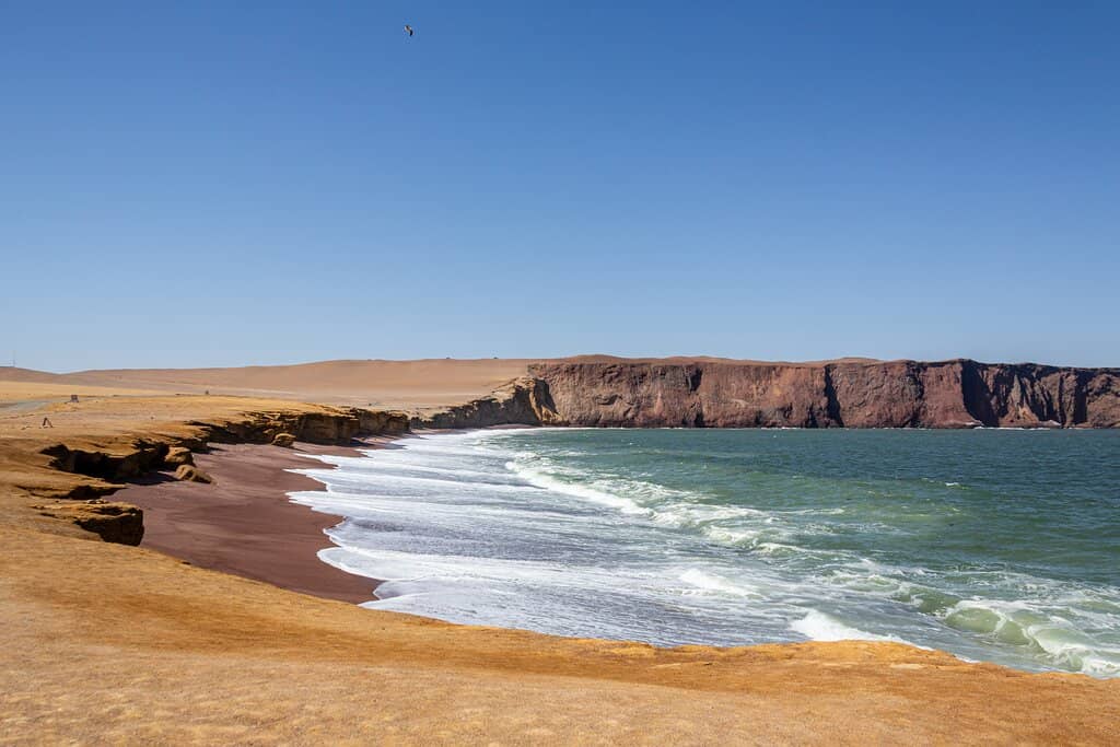 Desert Meets the Sea