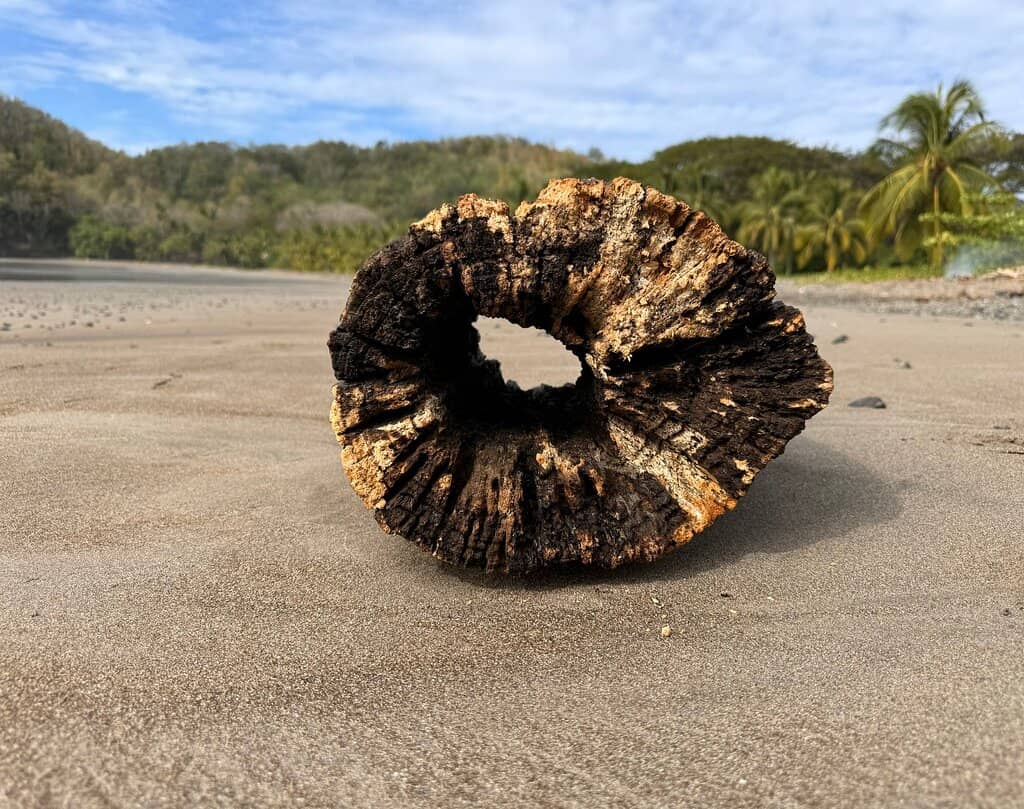 Upscale Hotel & Restaurant