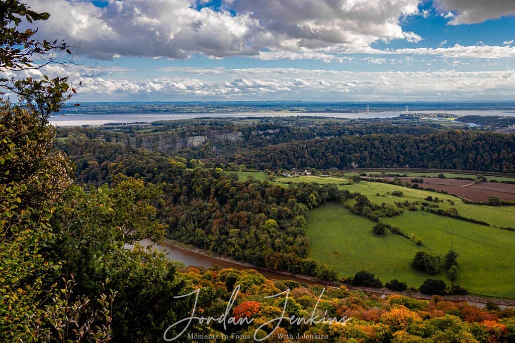 The 365 Steps Challenge