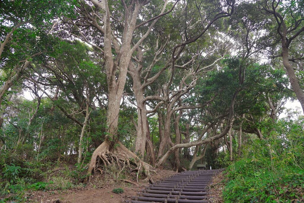 Impressive Statues & Art