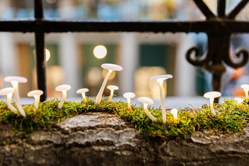 Artisan Ceramics & Homeware