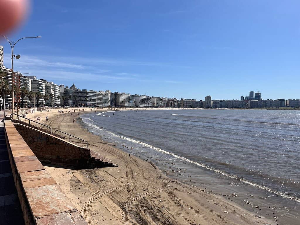 Lively Boardwalk Strolls