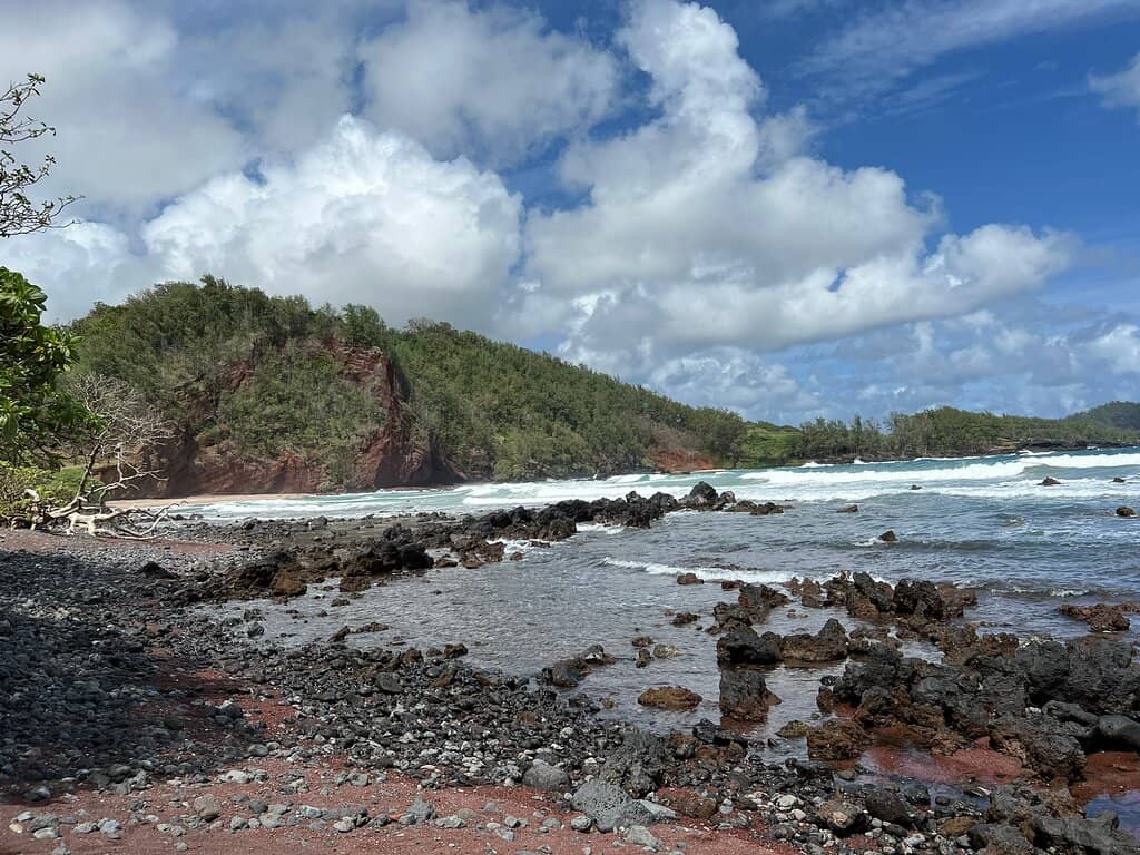 Huli Huli Chicken Stand