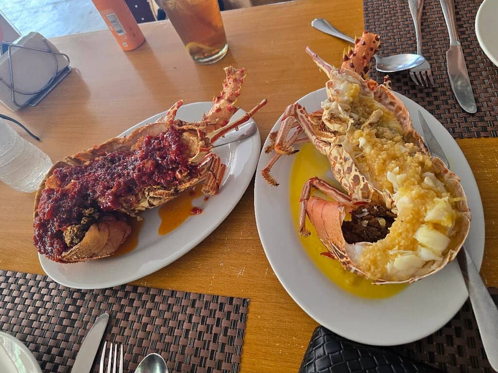 Relaxing Ambiance with Live Music