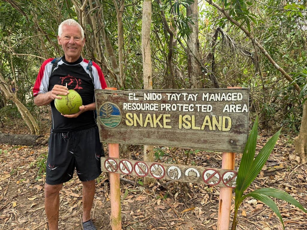 Snorkeling and Marine Life