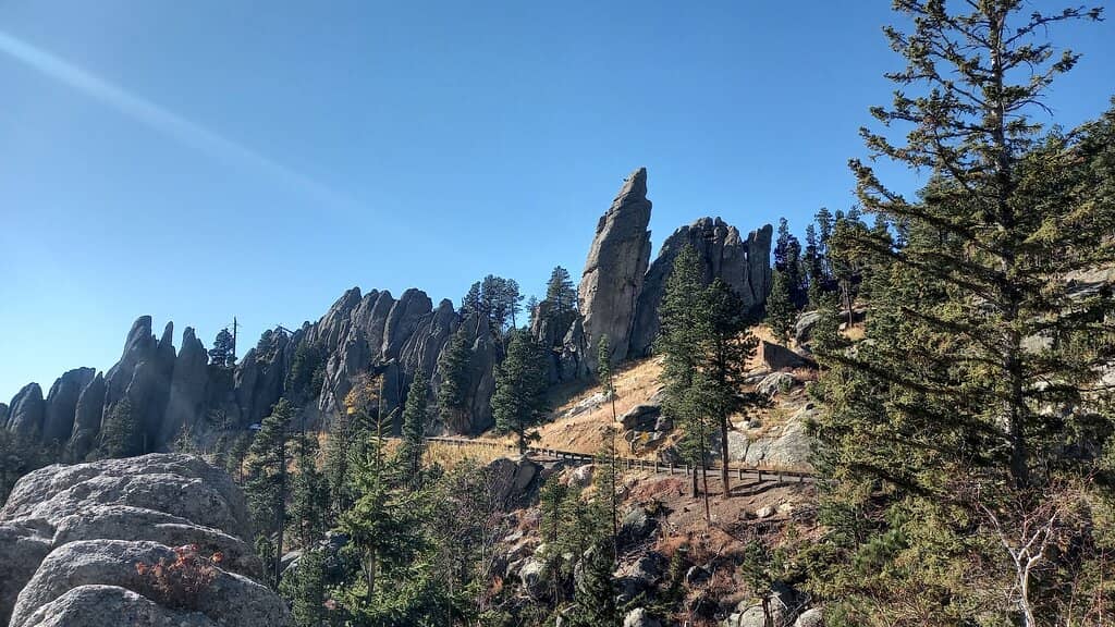 Scenic Drives