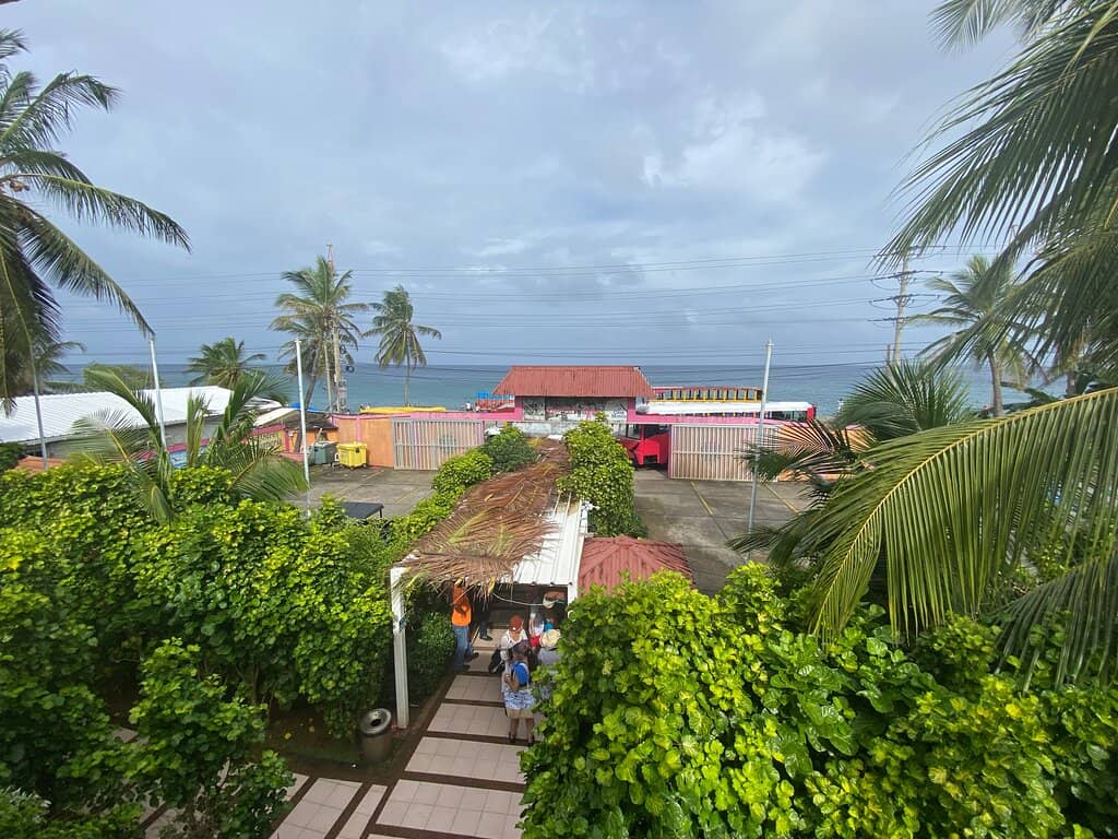 Island History & Native Culture