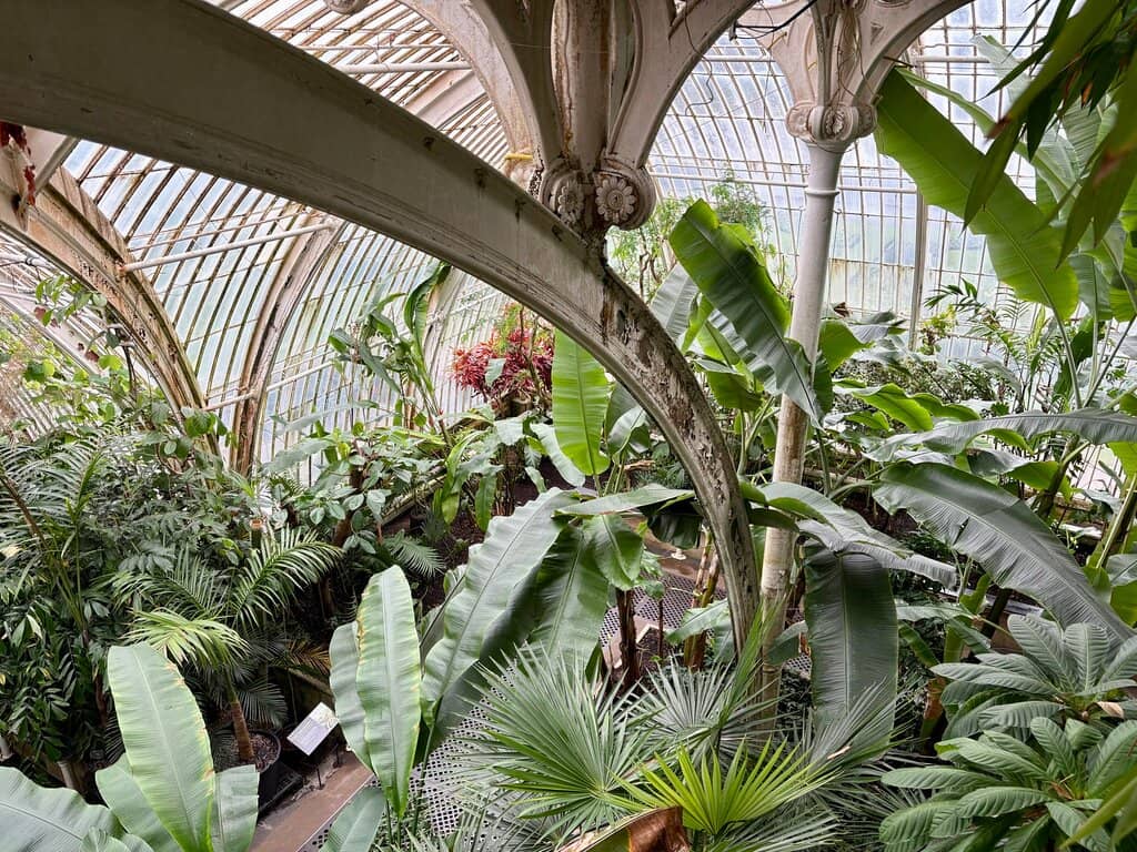 Pink Boutique Hotel Vibe