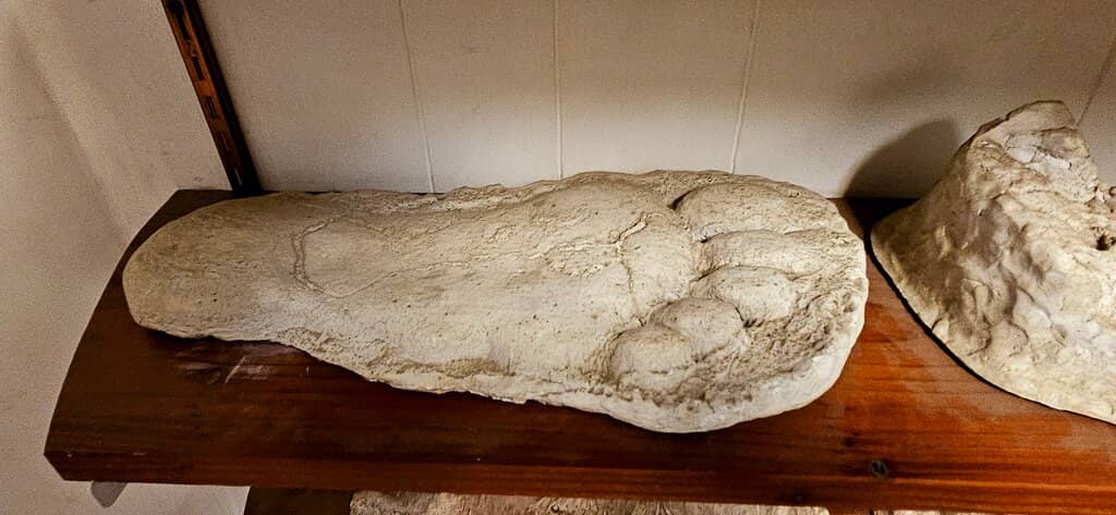 Original Artwork & Artifacts