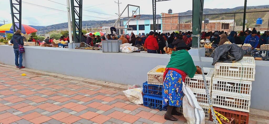 Traditional Indigenous Foods