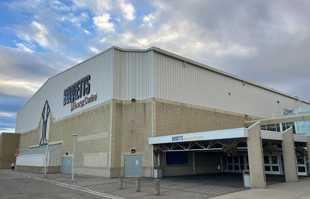 Concerts and Live Shows