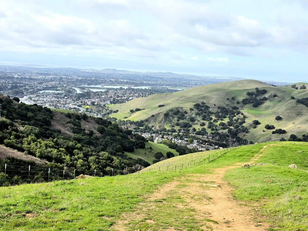 Panoramic Bay Area Views