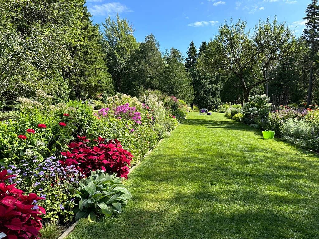 Northeast Harbor Views