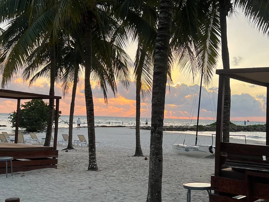 Kayak Through Mangrove Labyrinths