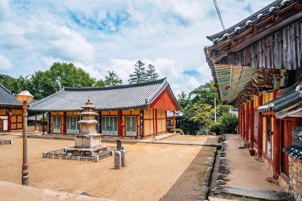 Seasonal Beauty: Cherry Blossoms & Lotus Flowers