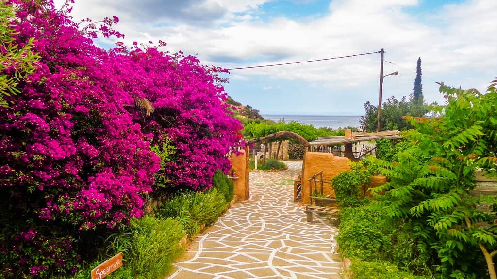 Authentic Cretan Cooking Class