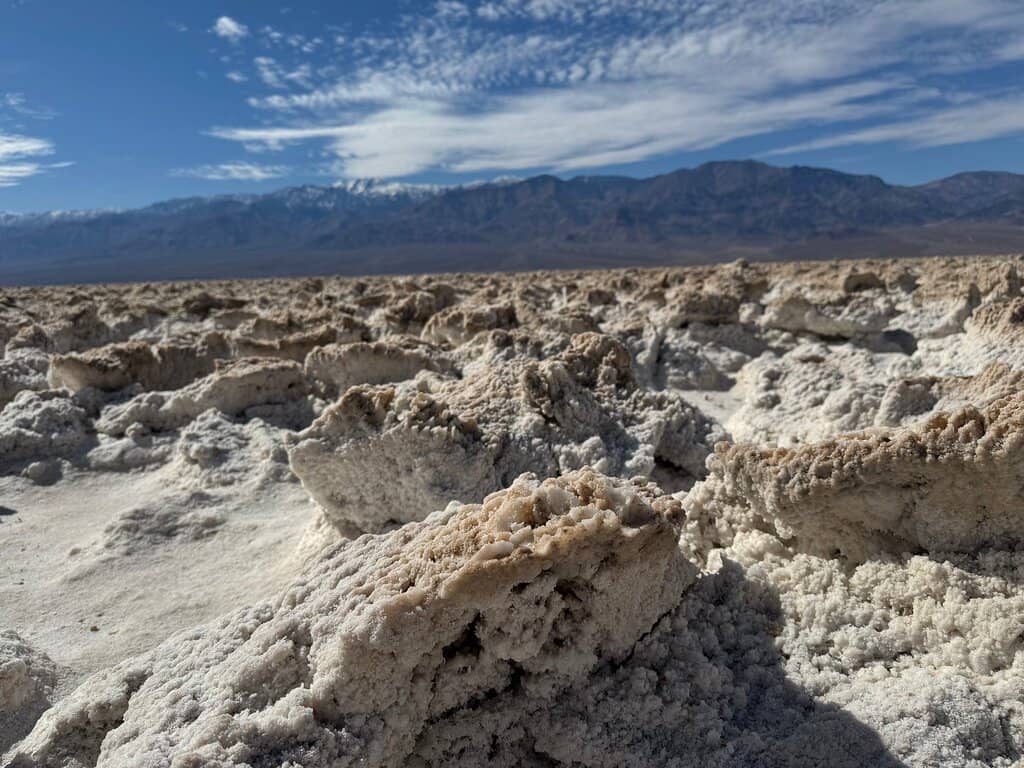 Stargazing Spectacle