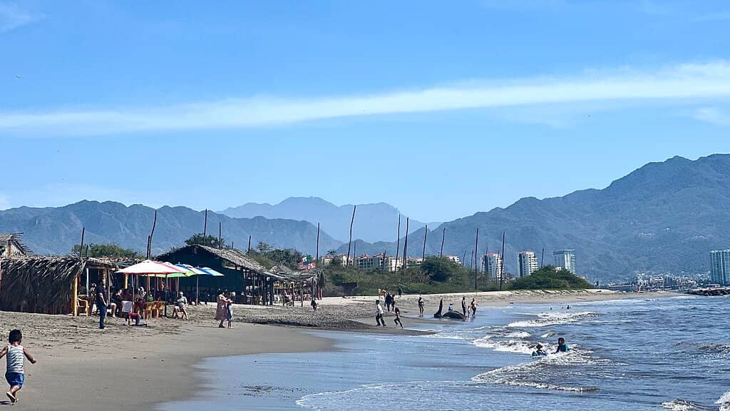 Crocodile Spotting (from a distance!)