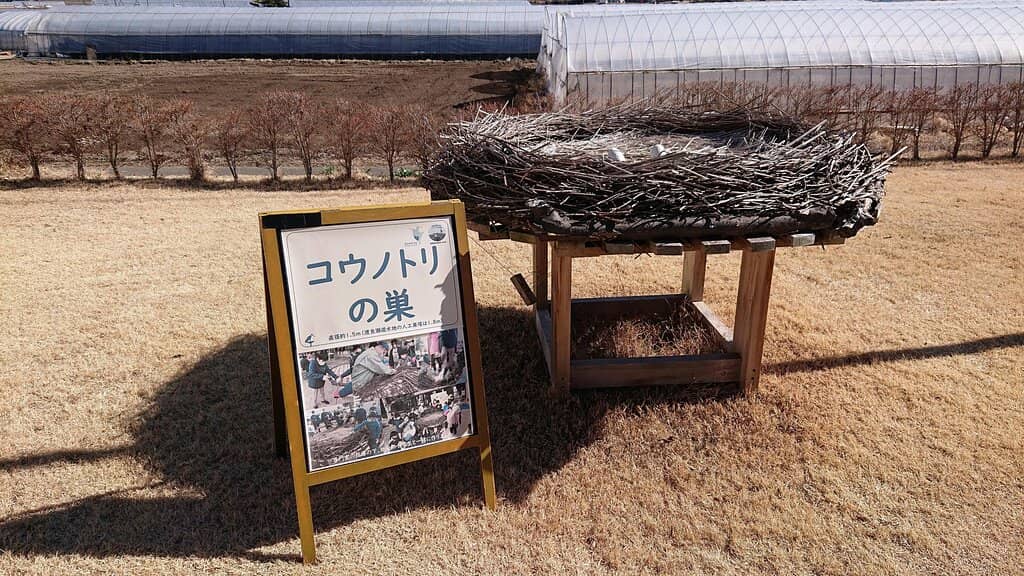 Birdwatching Paradise