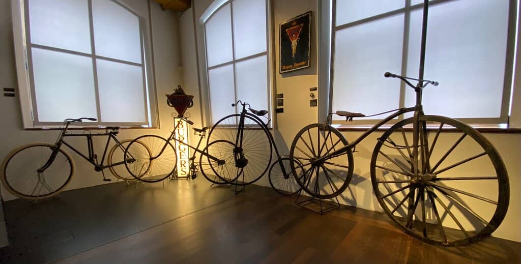 The Surprising Cellar