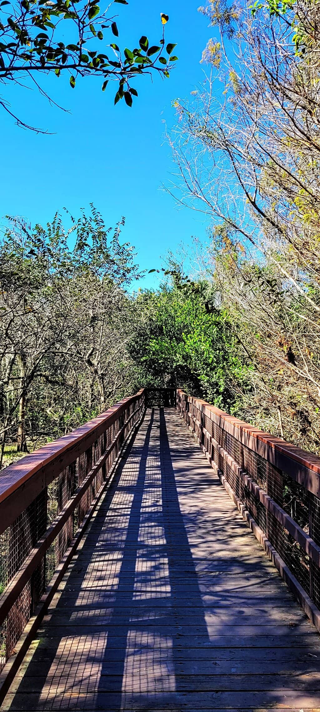Vertical photo