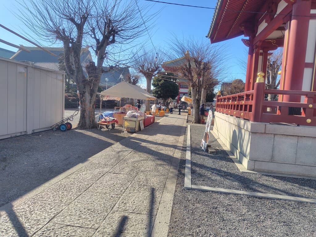 Spring Flower Festival