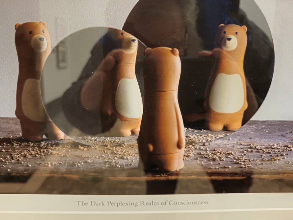 Fine Art Sales Gallery