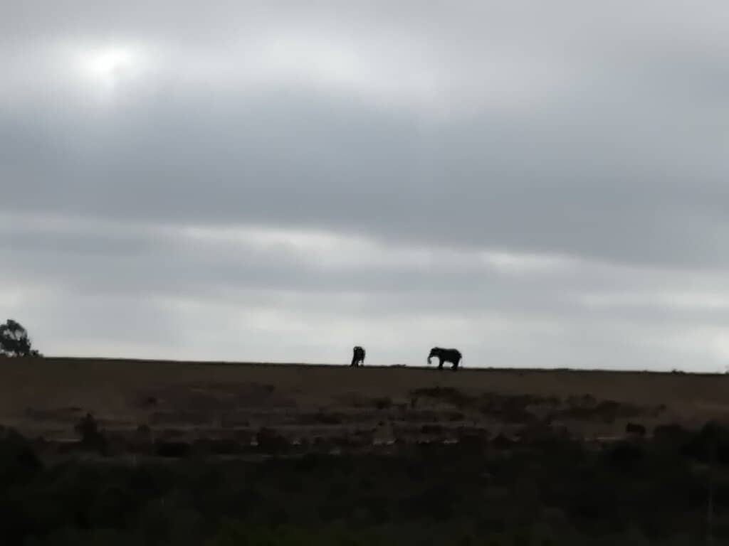 Paragliding Launch Site