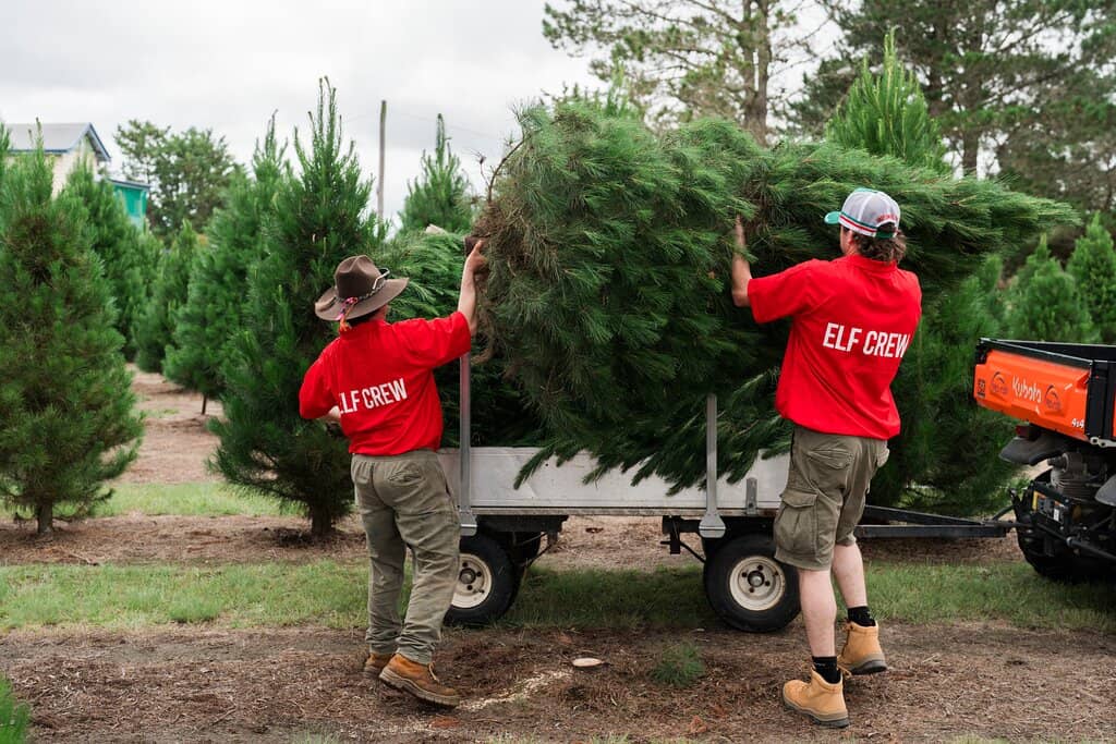 Farm Animal Encounters