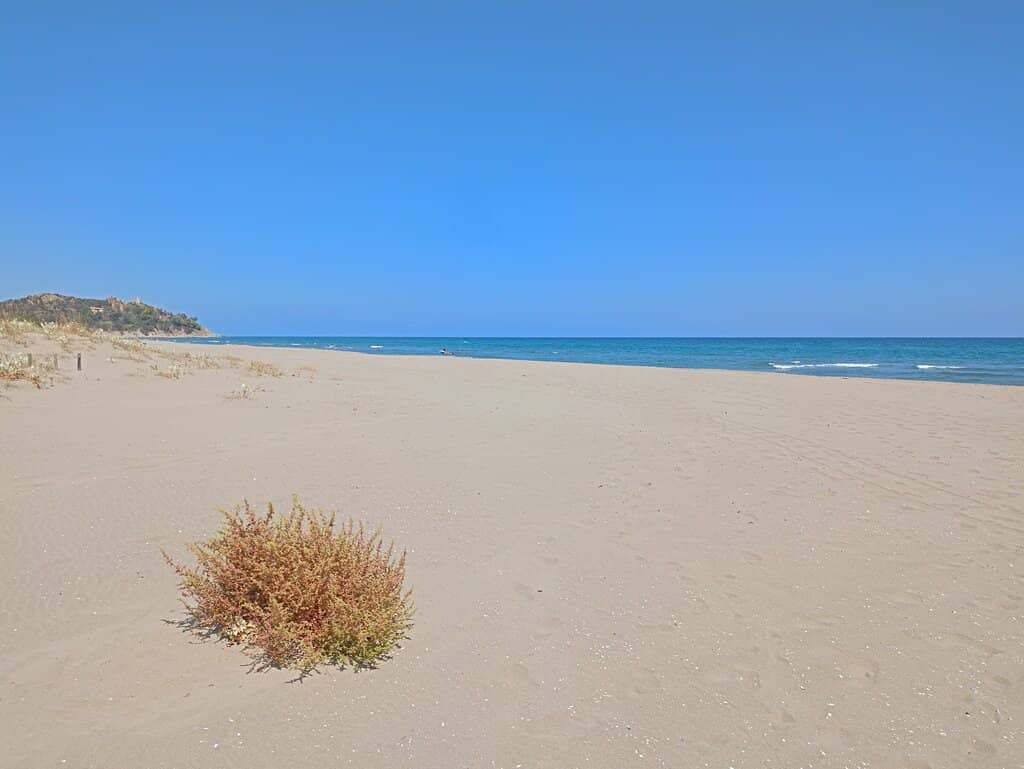 Unspoiled Natural Beauty