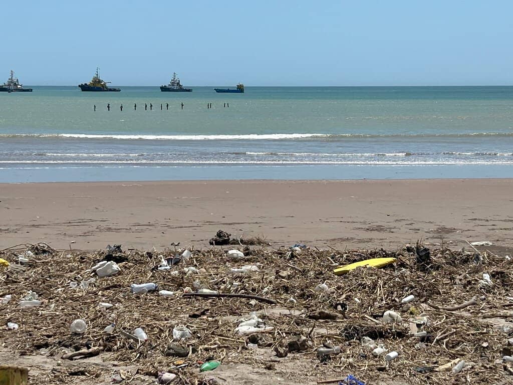 Revitalized Coastal Promenade