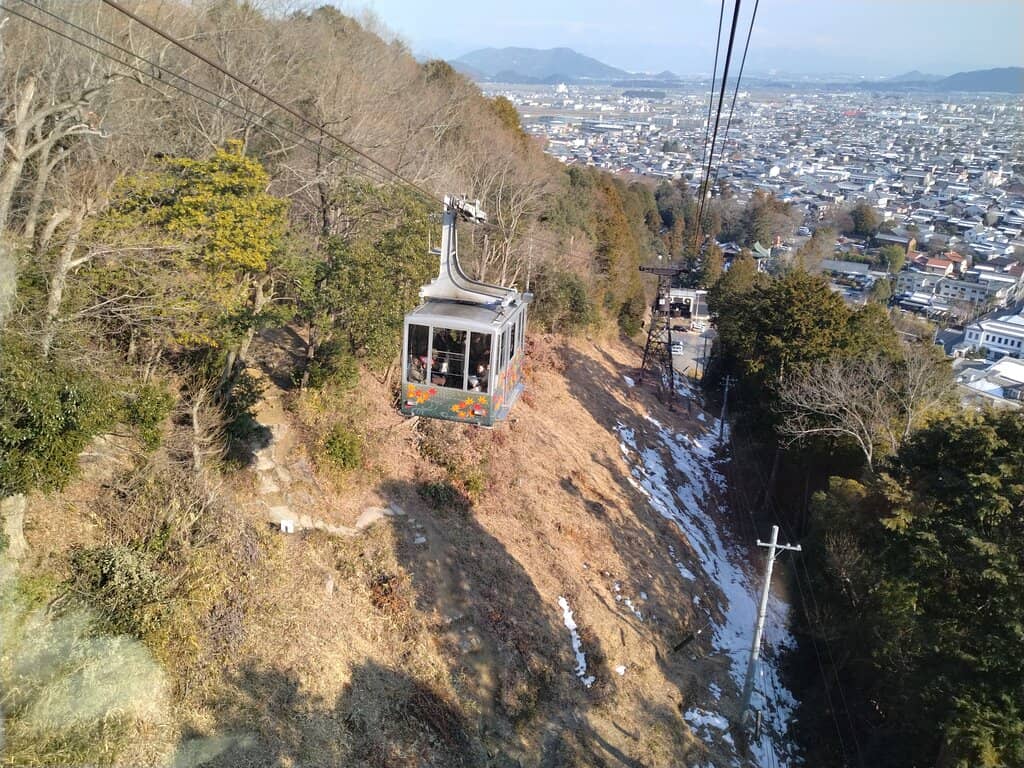 Vibrant Maple Foliage