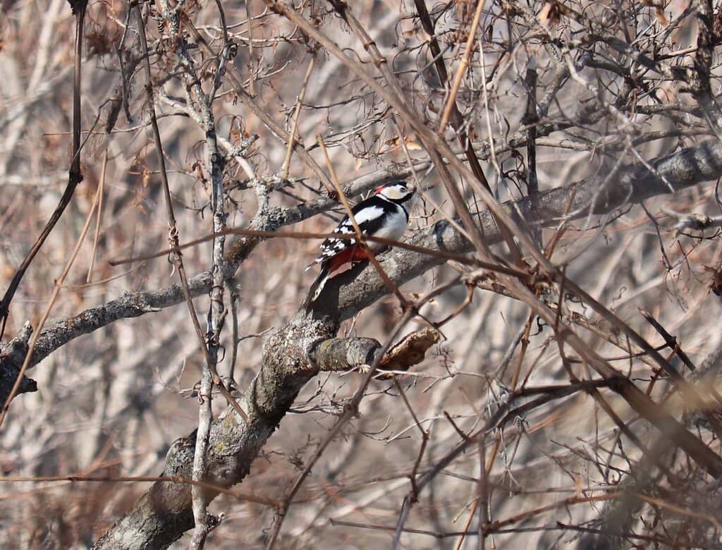 Scenic Lakeside Walks