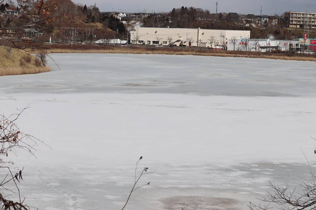 Scenic Lakeside Walks