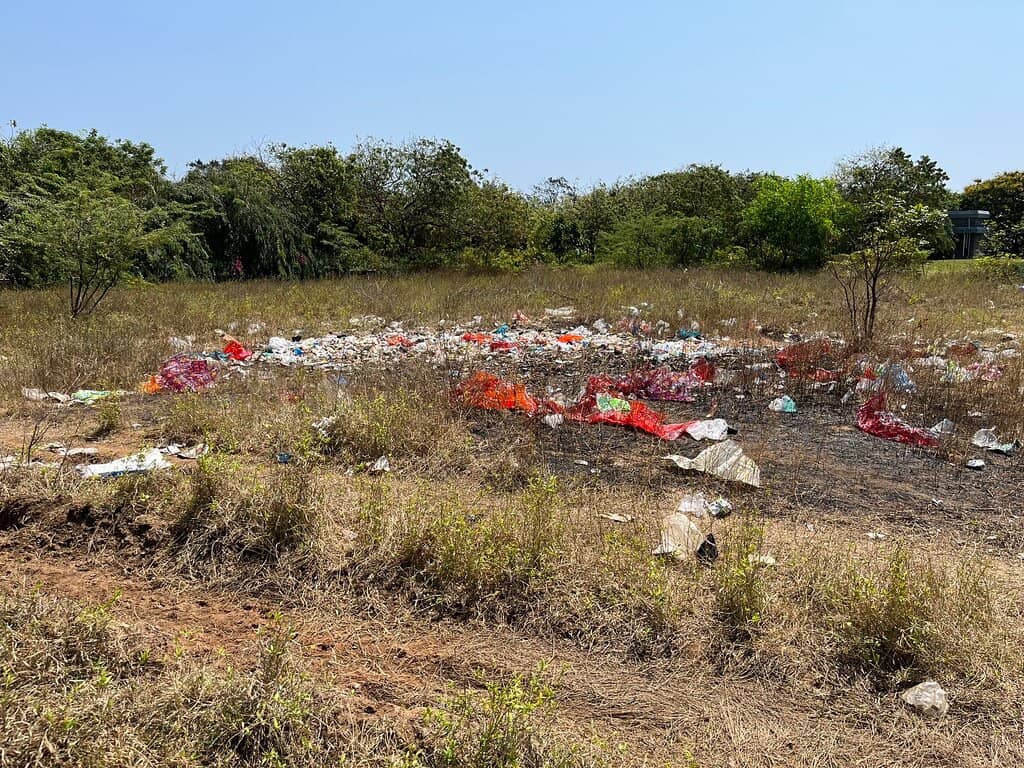 Golden Sands & Gentle Waves