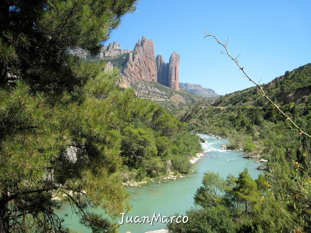Vertical photo