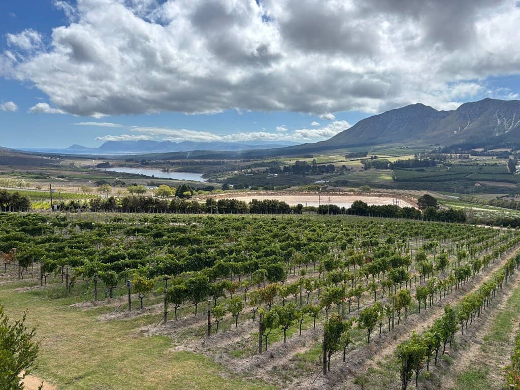 Exceptional Pinot Noir